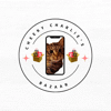 Cheeky Charlie’s Bazaar logo featuring a cat mascot inside a phone with shopping bags, representing an online affiliate shop for deals and gifts