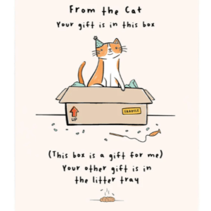 The Box is For Me, From The Cat Birthday Card from Card Factory showing playful cat design and birthday message
