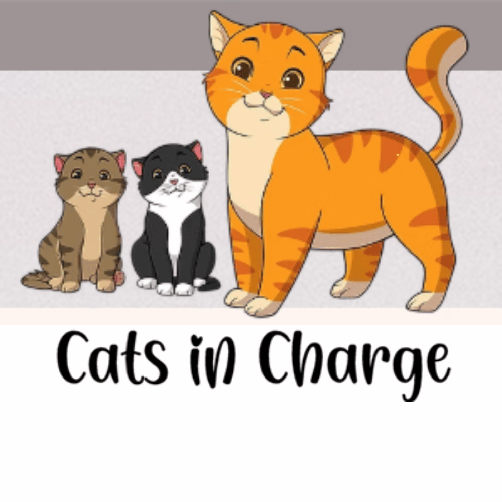 cats in charge logo with illustrated cats and playful text