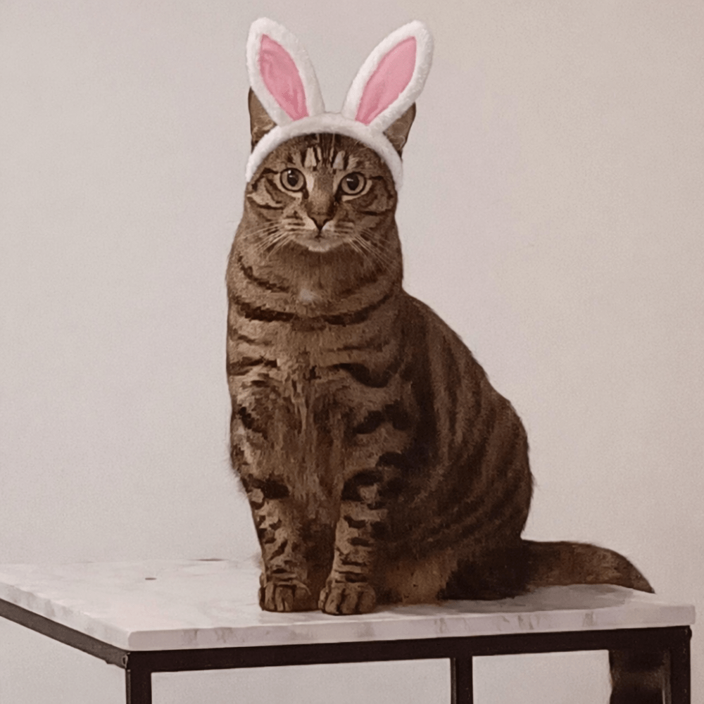 Tabby cat sitting on a table wearing a white and pink Easter bunny ear headband. Easter ideas