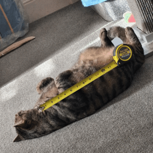 Personalised Tools Tape Measure