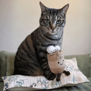 Charlie the tabby cat sitting beside the OHS Hugo The Hot Chocolate Keyring showing the oversized plush bag charm