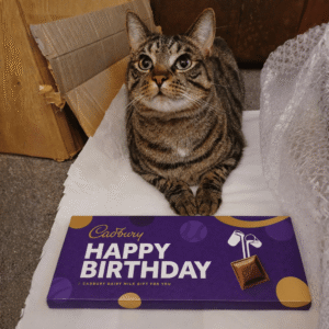 Cadbury Dairy Milk Happy Birthday Bar 850g