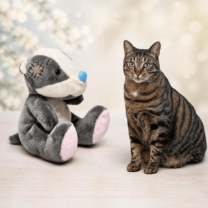 Digby the Badger from Card Factory showing the My Blue Nose Friends cuddly toy with a blue nose